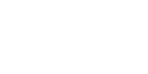 Shopify partner copy