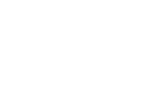 google partner black 500x350 copy